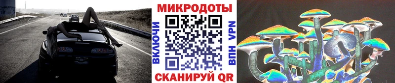 это как зайти  Бакал  Галлюциногенные грибы мухоморы  где купить  